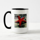 Rotes Meer der Stern-Fisch-| Tasse (Links)