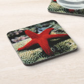 Rotes Meer der Stern-Fisch-| Untersetzer (Linke Seite)