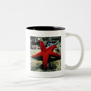 Rotes Meer der Stern-Fisch- Zweifarbige Tasse