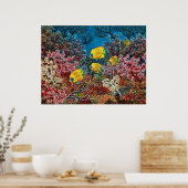 Rotes Meer Poster (Küche)