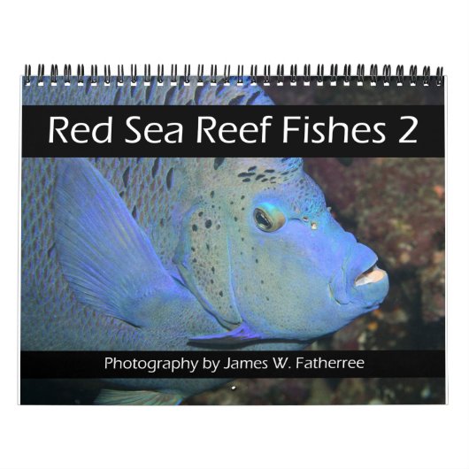 Rotes Meer Reef Fische 2 Kalender (Titelbild)