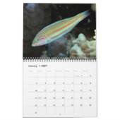 Rotes Meer Reef Fische 2 Kalender (Jan 2027)