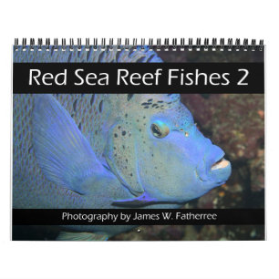 Rotes Meer Reef Fische 2 Kalender