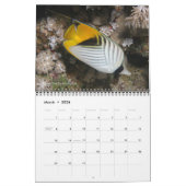 Rotes Meer Reef Fische 2 Kalender (Mär 2026)