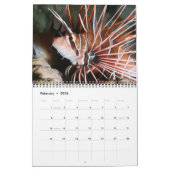 Rotes Meer Reef Fische 2 Kalender (Feb 2026)