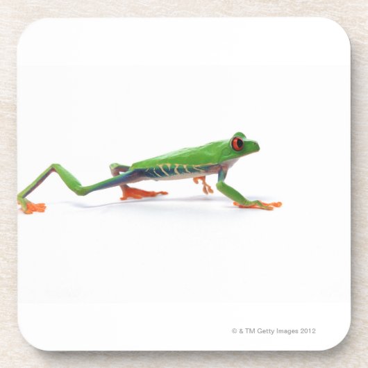 Rotes mit Augen Baumfroschgehen Untersetzer (Vorderseite)