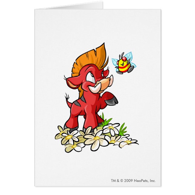 Rotes Moehog und Summen (Vorne)