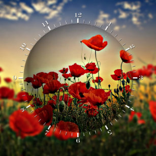 Leinwand Mohnblumen In Voller Blute Onetz