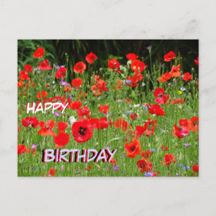 Rotes Mohnfeld Frohe Geburtstag Postkarte