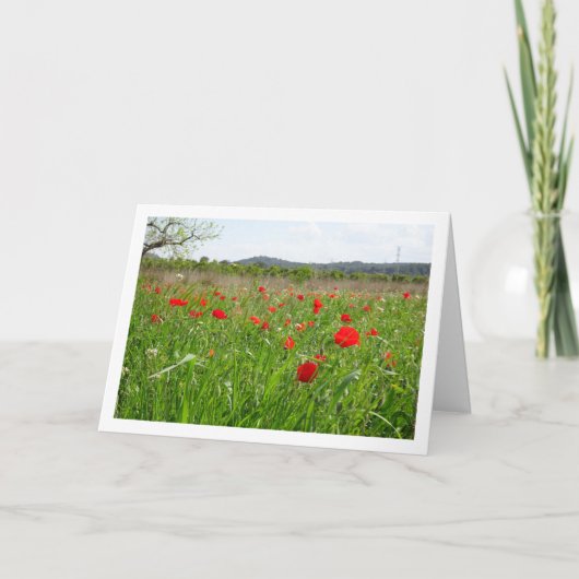 Rotes Mohnfeld Karte (Vorderseite)