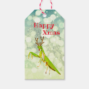 Rotes Nasebetender Mantis-sonderbares Weihnachten Geschenkanhänger