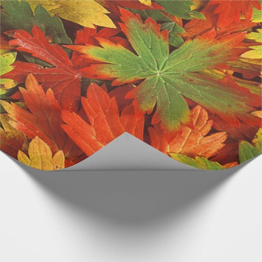 Rotes orange Gold u. grünes Fallpinwheel-Blätter Geschenkpapier (Ecke)
