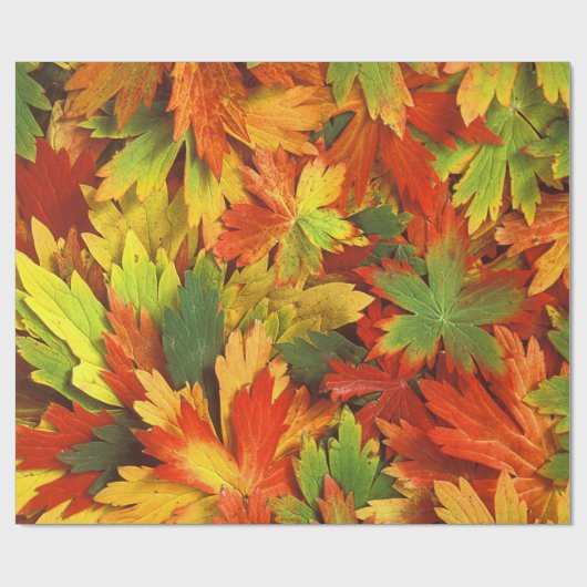 Rotes orange Gold u. grünes Fallpinwheel-Blätter Geschenkpapier (Flach)