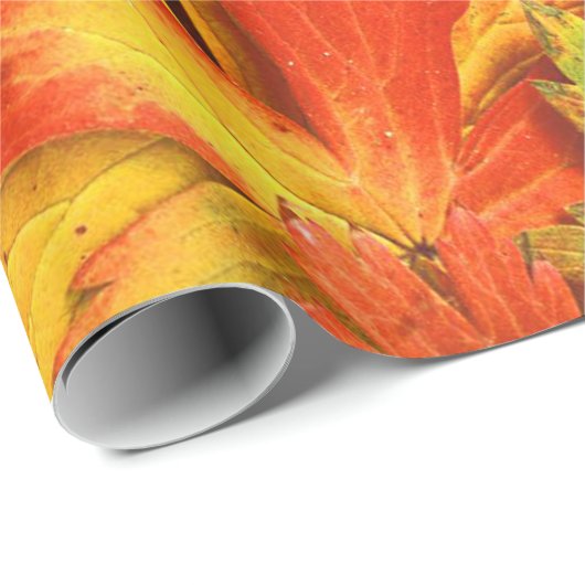 Rotes orange Gold u. grünes Fallpinwheel-Blätter Geschenkpapier (Rolleneckpunkt)