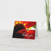 Rotes orangefarbenes schicke Foto Dankeschön Karte (Vorderseite)