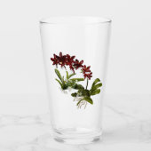 Rotes Orchid-Glas Glas (Vorderseite)