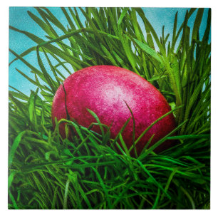 Rotes Osterei im Gras Fliese