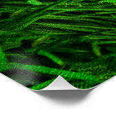 Rotes Osterei im Gras Poster (Ecke)