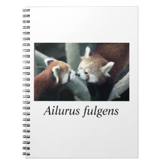 Rotes Panda#1 Notizblock