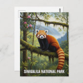 Rotes Panda in Singalila Nationalpark Reisen Postkarte (Vorne/Hinten)