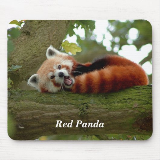 Rotes Panda Mousepad (Vorne)