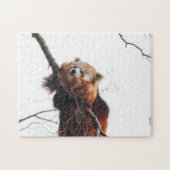 Rotes Panda Puzzle/Jigsaw Puzzle (Horizontal)