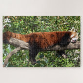 Rotes Panda-Puzzle Puzzle (Horizontal)