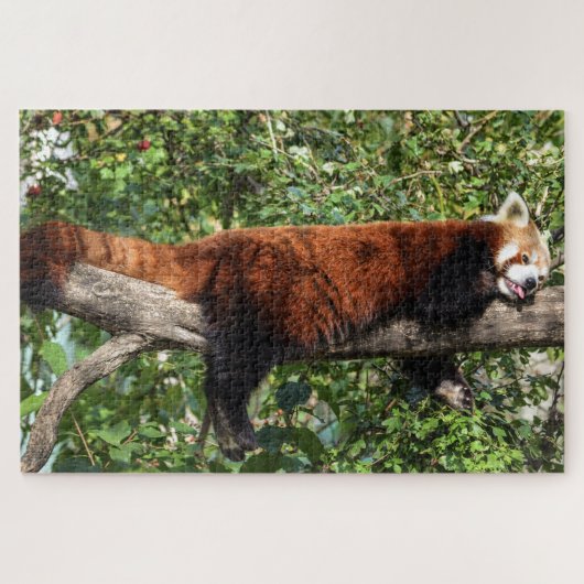 Rotes Panda-Puzzle Puzzle (Horizontal)