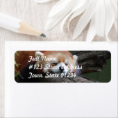 Rotes Panda-Rücksendeadresse-Mailing-Label (Insitu)