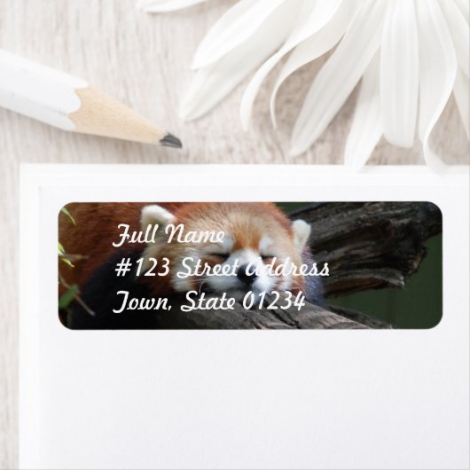 Rotes Panda-Rücksendeadresse-Mailing-Label (Insitu)