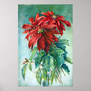 Rotes Poinsettia Blume Vintage Malerei Poster