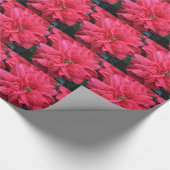 Rotes Poinsettia-Blumen-Verpackungs-Papier Geschenkpapier (Ecke)