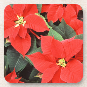 Rotes Poinsettia-Set Korken-Untersetzer Untersetzer