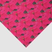 rotes Poinsettias-Muster-Gewebe Seidenpapier (Ausschnitt)