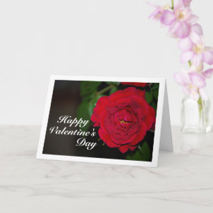 Rotes Rosen Nachtporträt Karte