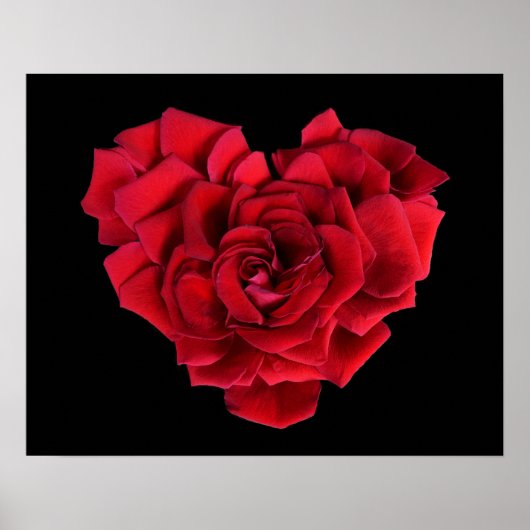 Rotes Rosenherz auf Schwarz Poster (Vorne)