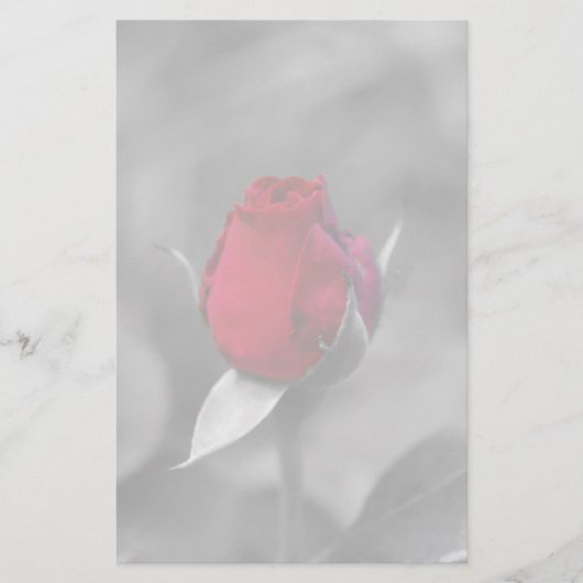 Rotes Rosenknospebriefpapier Briefpapier (Vorderseite)