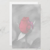 Rotes Rosenknospebriefpapier Briefpapier (Vorne/Hinten)