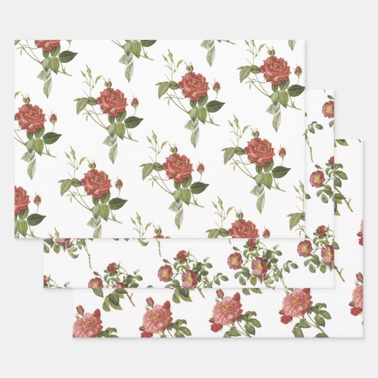 Rotes Rosenmuster Geschenkpapier Set (Set)
