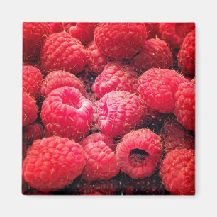 Rotes rotes Rot Magnet