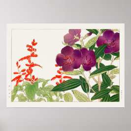 Rotes Salvia und Lila Melastom von Tanigami Konan Poster