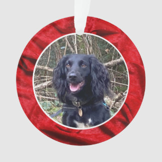 Rotes Samt Haustier Foto Weihnachten Ornament