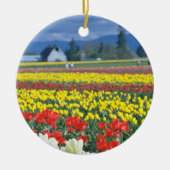 Rotes Skagit Tal, der Mount Rainier, Washington, Keramikornament (Vorne)