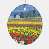 Rotes Skagit Tal, der Mount Rainier, Washington, Keramikornament (Links)