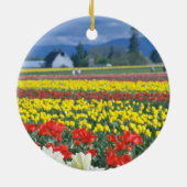 Rotes Skagit Tal, der Mount Rainier, Washington, Keramikornament (Hinten)