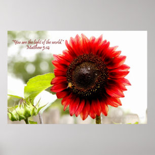 Rotes Sonnenblume-Plakat mit Matthew-5:14 Poster