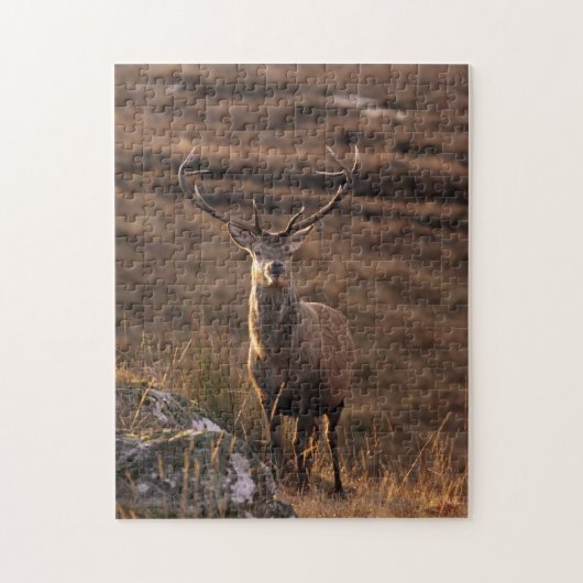 Rotes Stag Puzzle/Jigsaw Puzzle (Vertikal)
