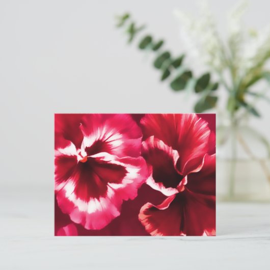 Rotes Stiefmütterchen Postkarte (Stehend Vorderseite)