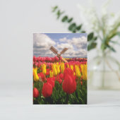 Rotes Tulip-Feld, Oregon-Blume Postkarte (Stehend Vorderseite)