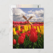 Rotes Tulip-Feld, Oregon-Blume Postkarte (Vorne/Hinten)